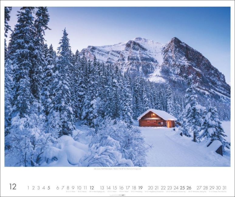 InsideView 12