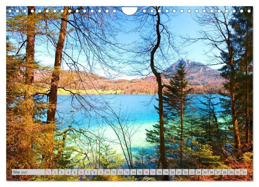InsideView 10
