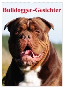 Bulldoggen-Gesichter (Wandkalender 2026 DIN A2 hoch), CALVENDO Monatskalender - Elisabeth Stanzer