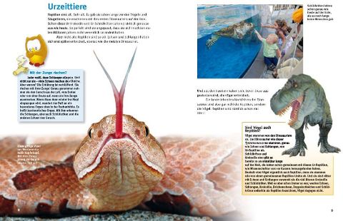 InsideView 3