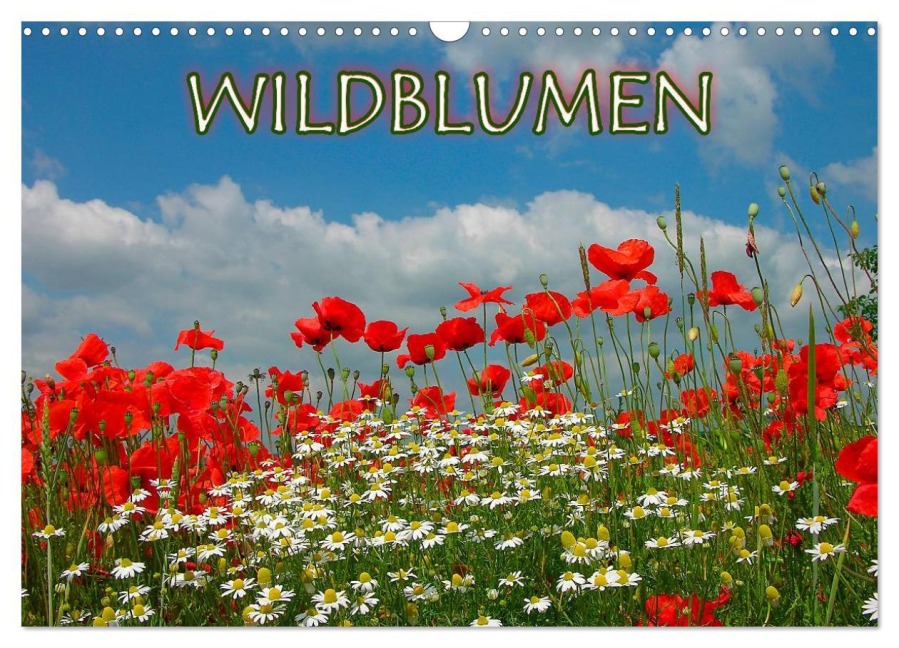 Wildblumen 2026 (Wandkalender 2026 DIN A3 quer), CALVENDO Monatskalender - Bildagentur Geduldig