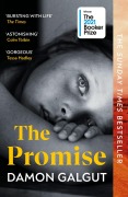 Cover-Bild zum Titel 'The Promise' von 'Damon Galgut'