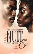 Cover-Bild zum Titel 'Une nuit chez mon ex' von 'Beny Carolin Ndouna'