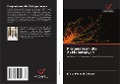 Cover-Bild zum Titel 'Pragmatyzm dla Zak¿opotanych' von 'Kizito Michael George'