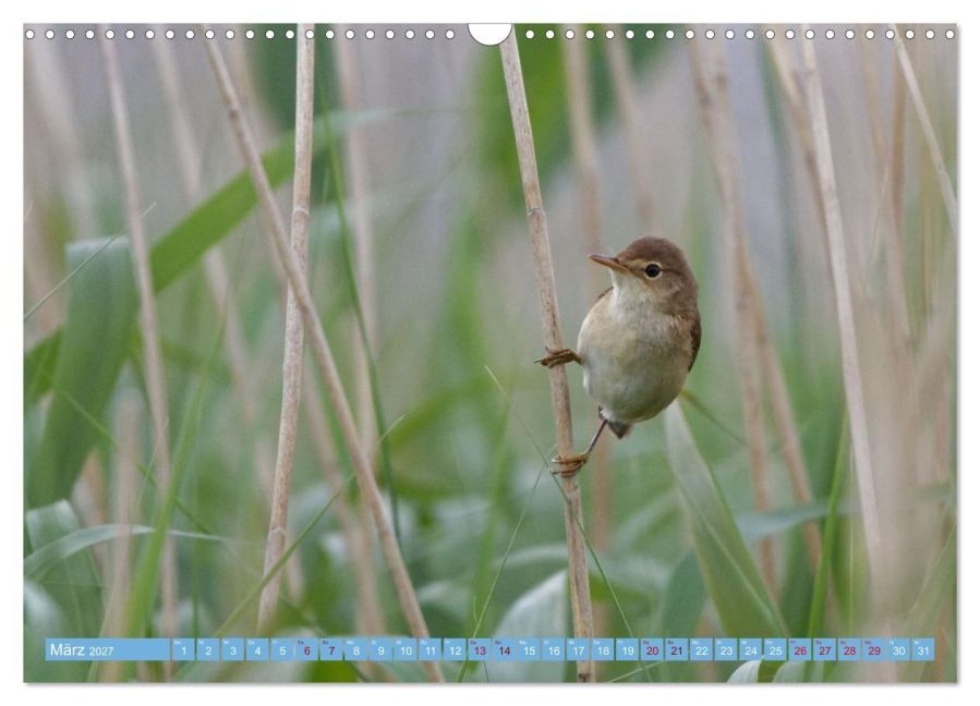 InsideView 8