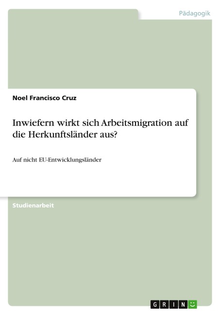 Inwiefern wirkt sich Arbeitsmigration auf die Herkunftsländer aus? - Noel Francisco Cruz