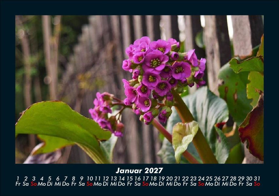 InsideView 5