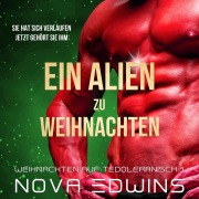 Cover-Bild zum Titel 'Ein Alien zu Weihnachten' von 'Nova Edwins'