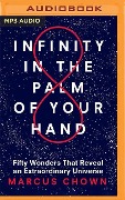 Infinity in the Palm of Your Hand: Fifty Wonders That Reveal an Extraordinary Universe - Marcus Chown