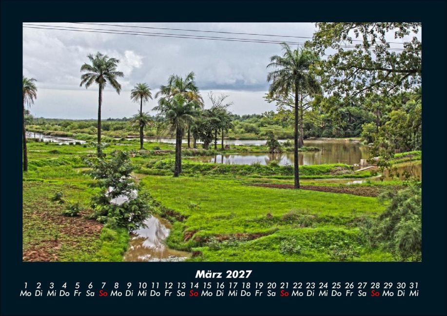 InsideView 7