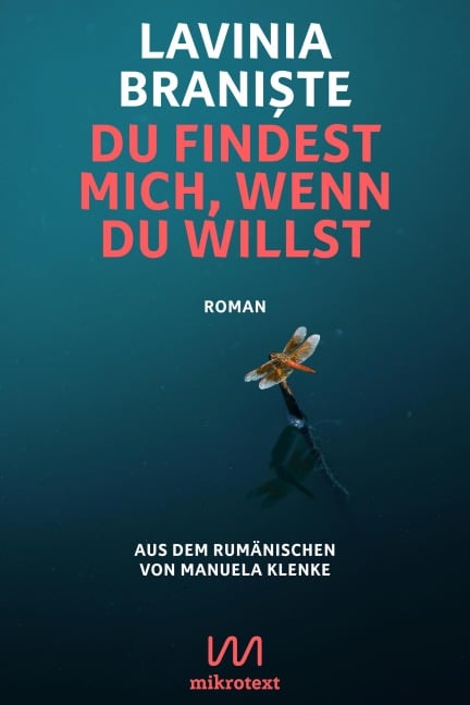 Du findest mich, wenn du willst - Lavinia Brani¿te