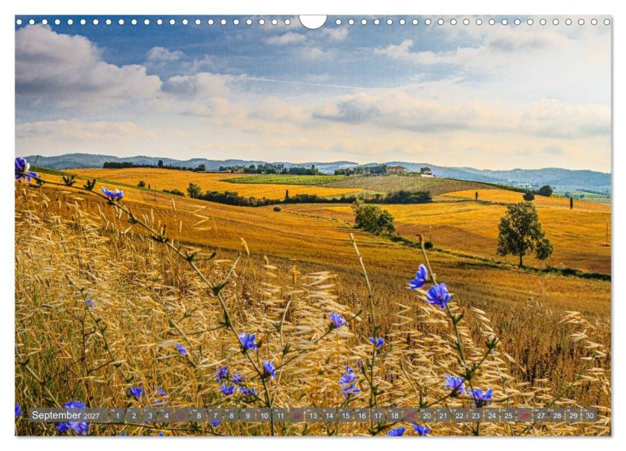 InsideView 14
