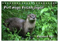 Cover-Bild zum Titel 'Putzige Fischjäger (Tischkalender 2026 DIN A5 quer), CALVENDO Monatskalender' von 'Martina Berg'