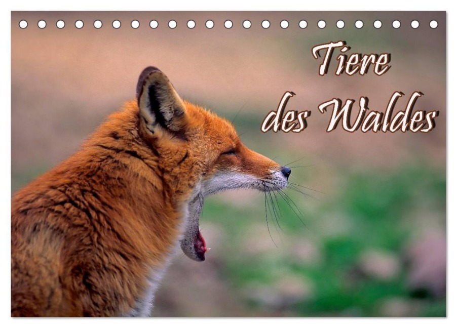 Tiere des Waldes (Tischkalender 2026 DIN A5 quer), CALVENDO Monatskalender - Bildagentur Geduldig