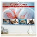 Katzenpower (hochwertiger Premium Wandkalender 2025 DIN A2 quer), Kunstdruck in Hochglanz - Steffen Gierok-Latniak