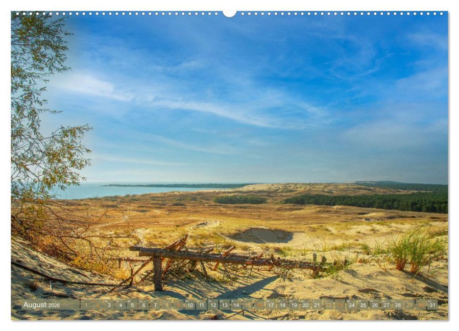 InsideView 12