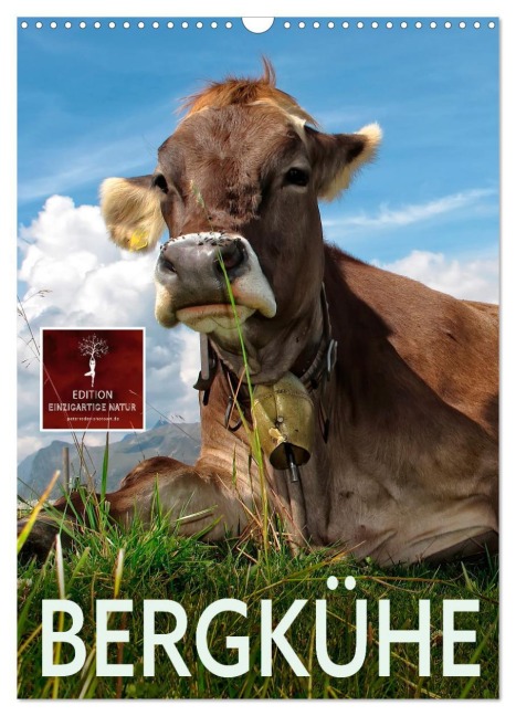 Bergkühe (Wandkalender 2026 DIN A3 hoch), CALVENDO Monatskalender - Peter Roder