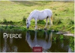 Cover-Bild zum Titel 'Pferde Kalender 2027 - Wandkalender | Fotokalender Tierkalender 24x35cm mit 12 wunderschönen Fotos dieser edlen Tiere' von ''
