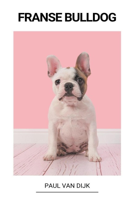 Franse Bulldog - Paul van Dijk