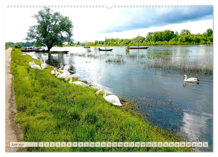 InsideView 10