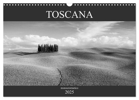 Toscana - monocromatico (Wandkalender 2025 DIN A3 quer), CALVENDO Monatskalender - Peter Schürholz