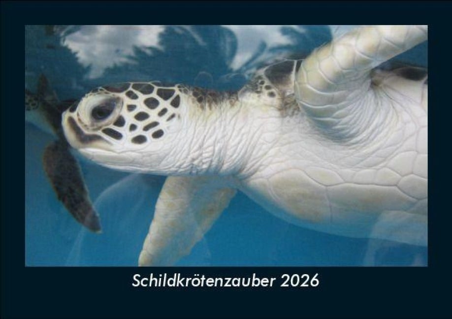 Schildkrötenzauber 2026 Fotokalender DIN A5 - Tobias Becker