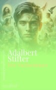 Cover-Bild zum Titel 'Der Nachsommer' von 'Adalbert Stifter'