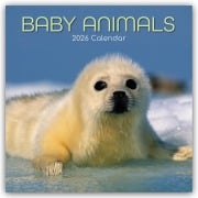 Baby Animals - Tierkinder 2026 - 16-Monatskalender - Gifted Stationery Co. Ltd