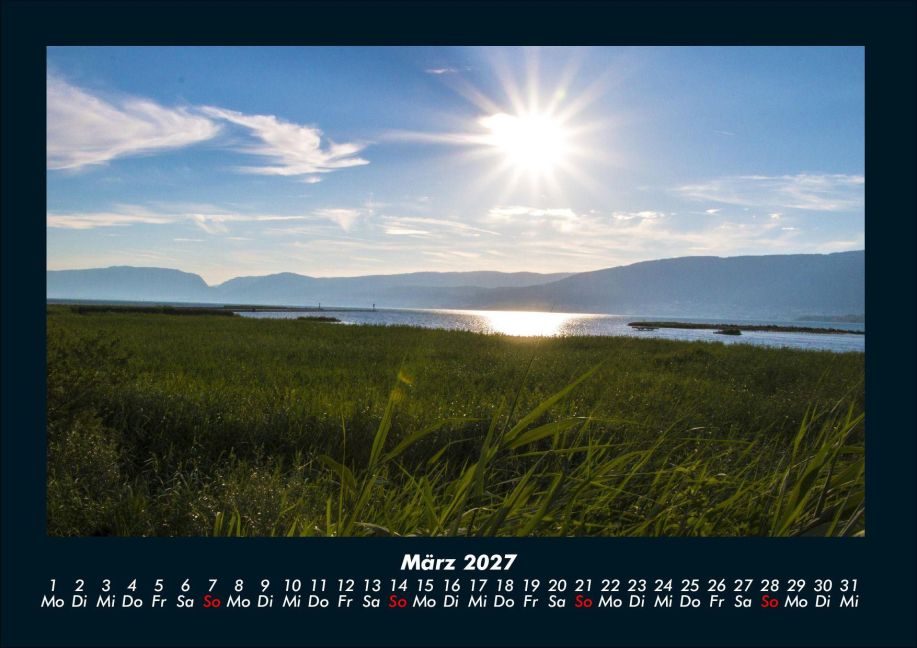 InsideView 7