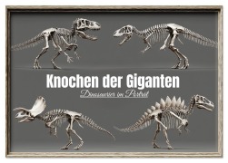 Cover-Bild zum Titel 'Knochen der Giganten - Dinosaurier im Porträt (Tischkalender 2026 DIN A5 quer), CALVENDO Monatskalender' von 'Mb Fotografie'