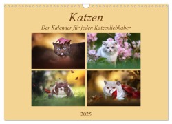 Katzen - Der Kalender für jeden Katzenliebhaber (Wandkalender 2025 DIN A3 quer), CALVENDO Monatskalender - Janina Bürger