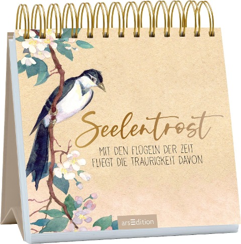 Seelentrost - 