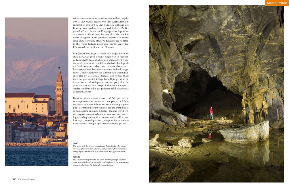 InsideView 3