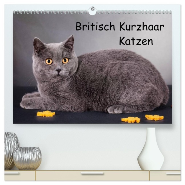 Britisch Kurzhaar Katzen (hochwertiger Premium Wandkalender 2026 DIN A2 quer), Kunstdruck in Hochglanz - Gabriela Wejat-Zaretzke