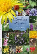 Cover-Bild zum Titel 'Wildpflanzen zum Genießen...' von 'Rita Lüder, Frank Lüder'