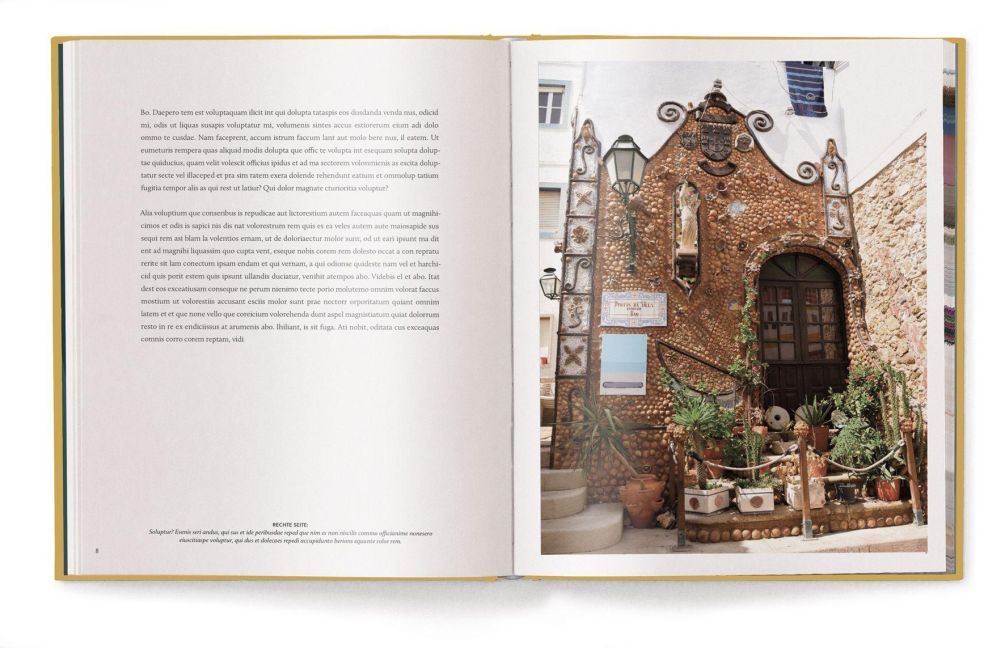 InsideView 4