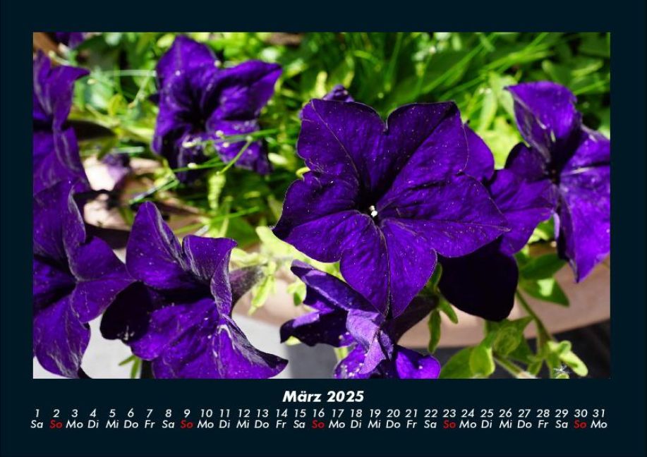 InsideView 7