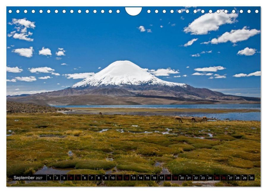 InsideView 14