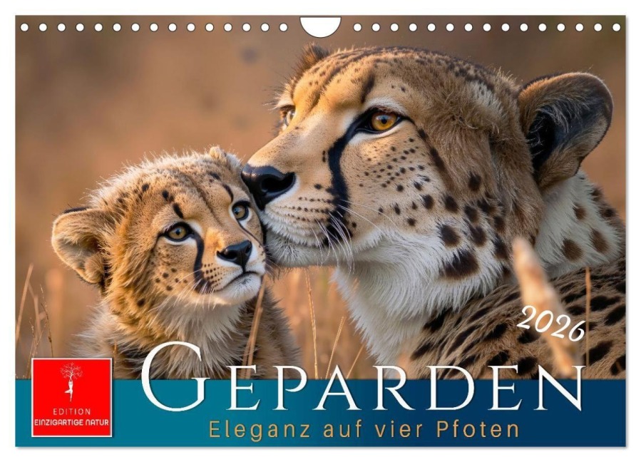 Geparden - Eleganz auf vier Pfoten (Wandkalender 2026 DIN A4 quer), CALVENDO Monatskalender - Meike und Peter Roder