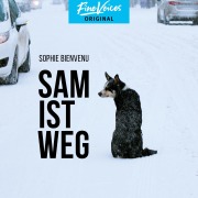 Cover-Bild zum Titel 'Sam ist weg' von 'Sophie Bienvenu'
