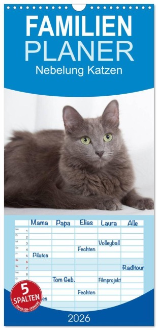 Familienplaner 2026 - Nebelung Katzen mit 5 Spalten (Wandkalender, 21 x 45 cm) CALVENDO - Fotodesign Verena Scholze