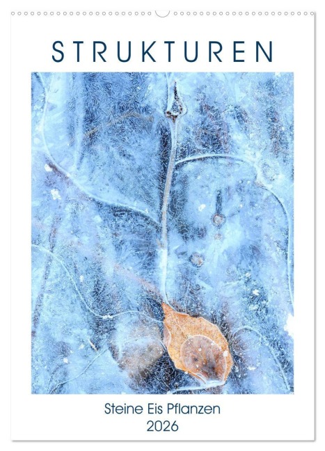 Strukturen - Steine, Eis, Pflanzen (Wandkalender 2026 DIN A2 hoch), CALVENDO Monatskalender - Viktoria Baier