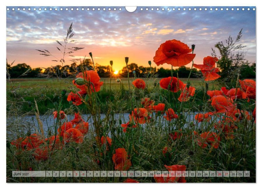 InsideView 11