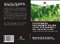 Cover-Bild zum Titel 'ESTIMATION DU RAYONNEMENT SOLAIRE ET DES PERFORMANCES DES CAPTEURS PLANS' von 'Hassan Ali Mohi-Eldin Elhassan, Osama Mohammed Elmardi Khayal'