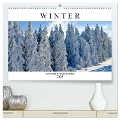 Winter. Zauberhafte Schneelandschaften (hochwertiger Premium Wandkalender 2025 DIN A2 quer), Kunstdruck in Hochglanz - Rose Hurley