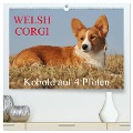 Welsh Corgi - Kobold auf 4 Pfoten (hochwertiger Premium Wandkalender 2025 DIN A2 quer), Kunstdruck in Hochglanz - Sigrid Starick