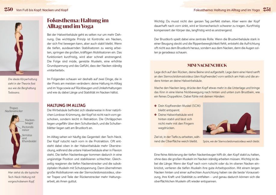 InsideView 7