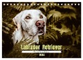 Verzauberung Labrador Retriever 2024 (Tischkalender 2024 DIN A5 quer), CALVENDO Monatskalender - Sensiebelfotografie Saskia Katharina Siebel