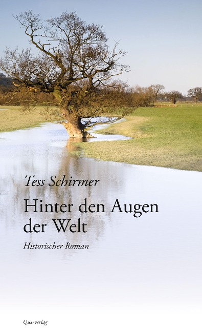 Hinter den Augen der Welt - Tess Schirmer
