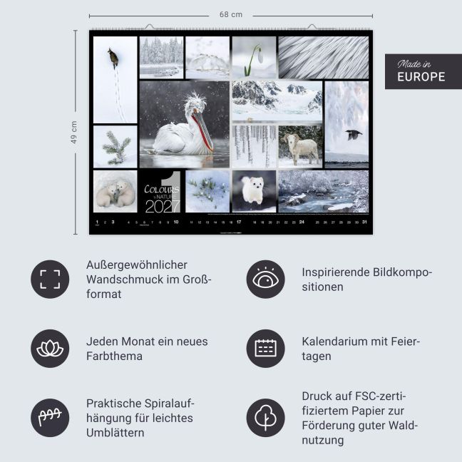 InsideView 13
